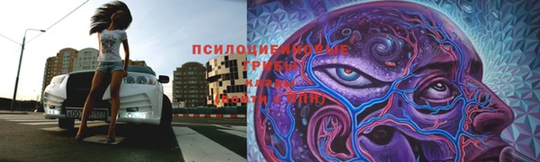каннабис Горно-Алтайск