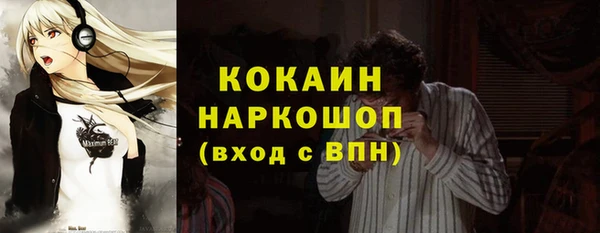 шишки Вязьма