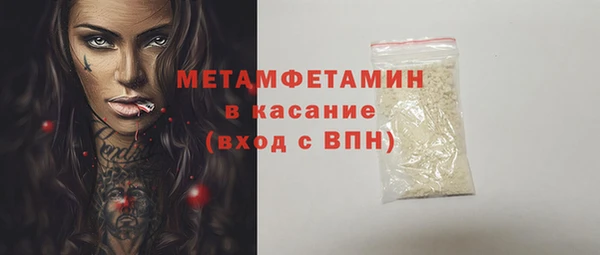 прущие грибы Вяземский