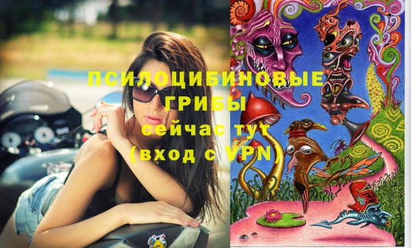 прущие грибы Вяземский