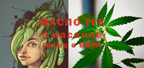 прущие грибы Вяземский