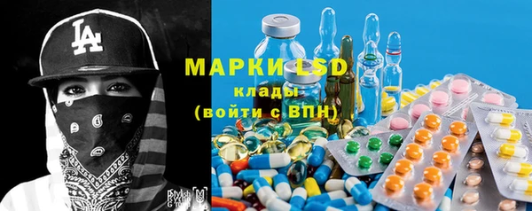 прущие грибы Вяземский