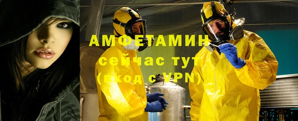 прущие грибы Вяземский