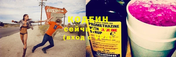 прущие грибы Вяземский