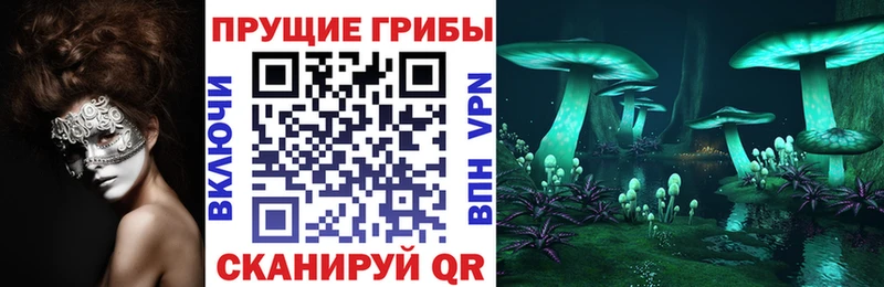 Галлюциногенные грибы мухоморы  где продают наркотики  Екатеринбург 
